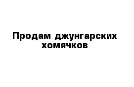 Продам джунгарских хомячков